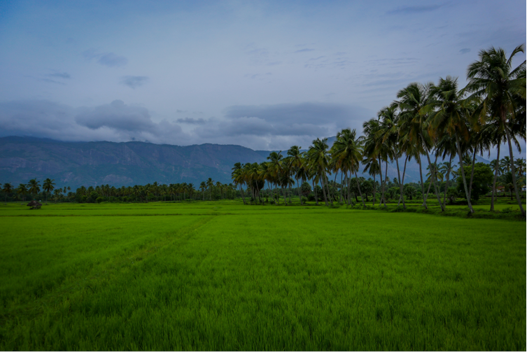 Agricultural Land Consultation